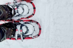 Saint-Jean-de-l'Île-d'Orléans: Self-Guided Snowshoeing Trip