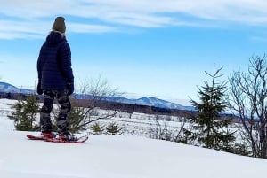 Saint-Jean-de-l'Île-d'Orléans: Self-Guided Snowshoeing Trip