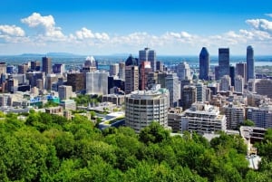 Montreal: Privat tur til Saint Joseph's Oratory of Mount Royal