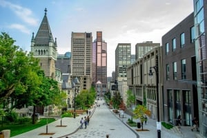 Montreal: Privat tur til Saint Joseph's Oratory of Mount Royal