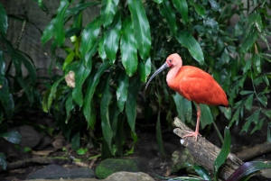 Skip-the-line Montreal Biodome Private Tour with Tickets