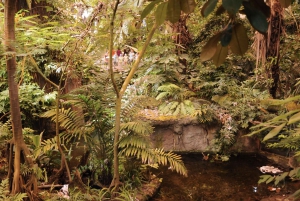 Skip-the-line Montreal Biodome Private Tour with Tickets