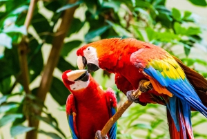 Skip-the-line Montreal Biodome Private Tour with Tickets