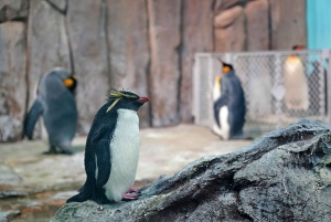 Skip-the-line Montreal Biodome Private Tour with Tickets