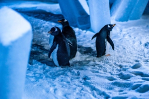 Skip-the-line Montreal Biodome Private Tour with Tickets