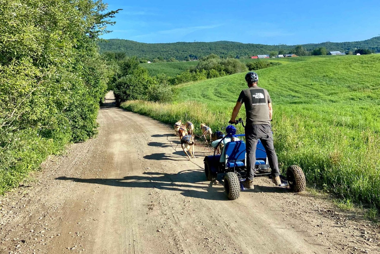 St-Liguori: Cani-Karting/Dog Sledding Experience