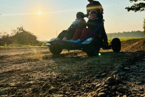 St-Liguori: Experiencia Cani-Karting/Trineo con perros