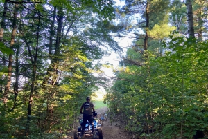 St-Liguori: Experiencia Cani-Karting/Trineo con perros