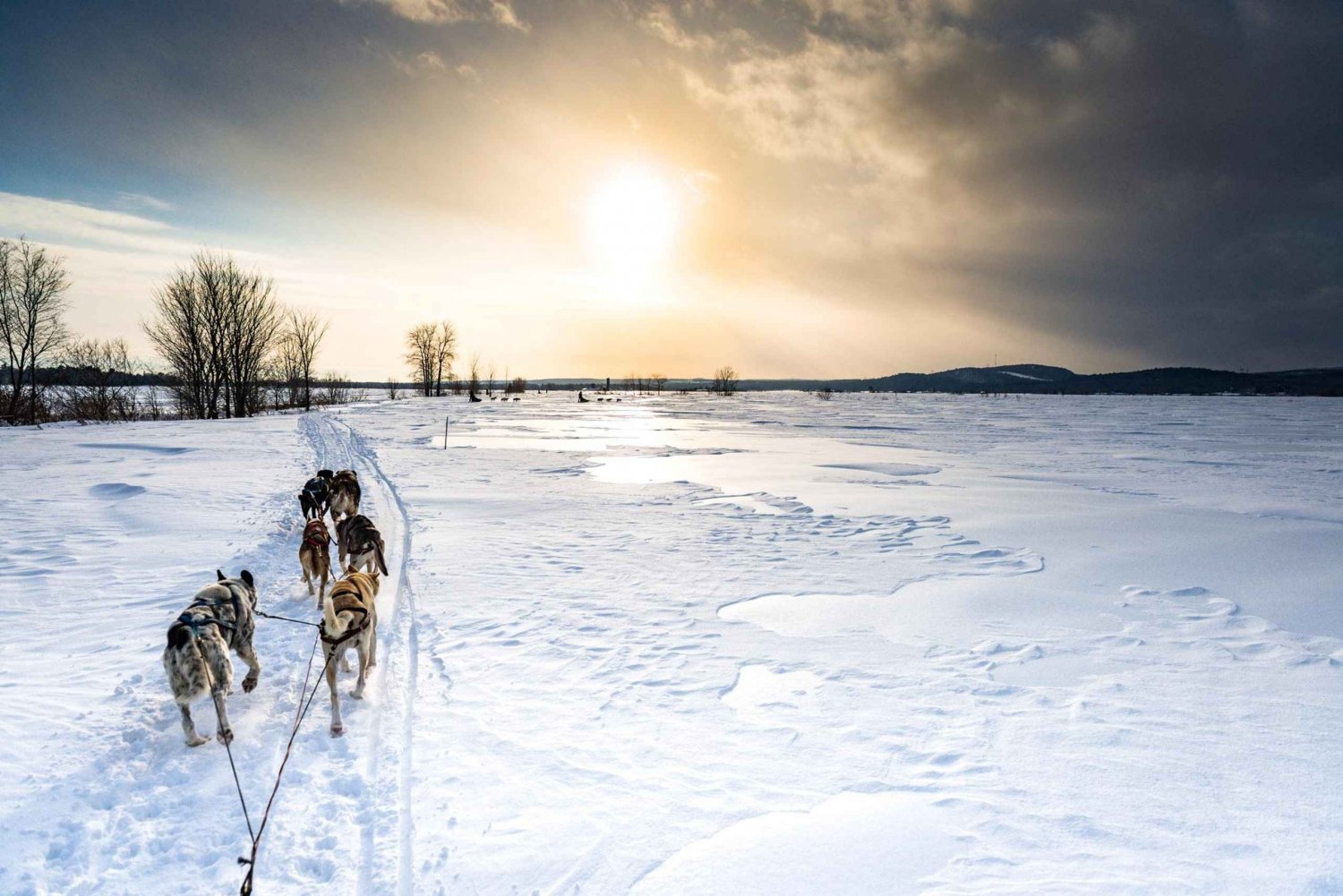 St-Liguori: Discover the beauty of winter by dog sled!