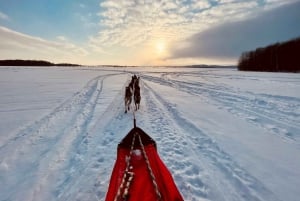 St-Liguori: Discover the beauty of winter by dog sled!