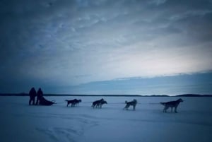 St-Liguori: Discover the beauty of winter by dog sled!