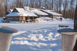 Montreal: Maple Syrup Tour with Sugar Shack & Local Cuisine
