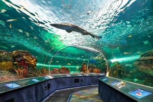 Montreal: 3 dagar i Toronto, Niagarafallen, Thousand Islands