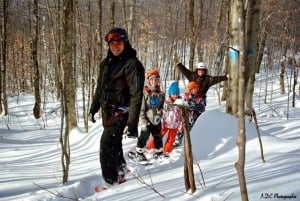 Tyroparc: Mega Ziplines and Hiking in the Laurentians