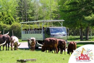 From Montreal: Omega Park Wildlife Safari Calling Sounds