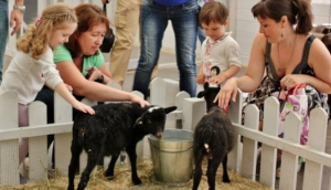 Moscow: Urban Jungle