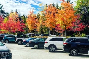 Boston: Fall Foliage Tour