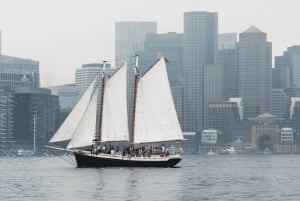 Boston: Bostonin satamaristeily: Auringonlasku Tall Ship Harbor Cruise