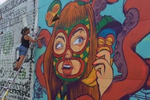Brooklyn: Bushwick Street Art Walking Tour