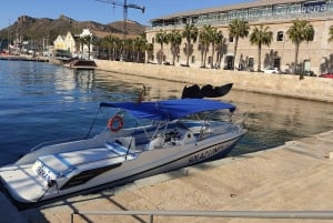 Cartagena: Guided boat tour to Isla de las Palomas