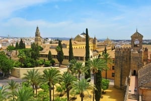 Visita a la Mezquita y Judería de Córdoba con tickets de entrada