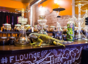 F-lounge cafe