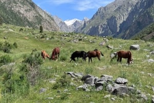 From Bishkek : Sokuluk Gorge & Belogorka Waterfall (One Day)