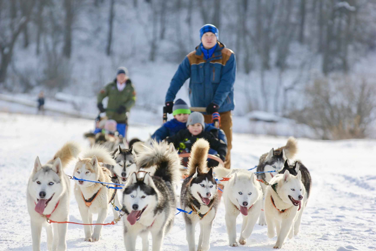 From Moscow: Dog-Sledding Tour with Husky Farm Visit