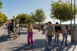 Delhi: Same Day Taj Mahal, Agra Fort & Baby Taj Tour By Car