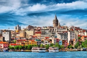 Istanbul: 1, 2 eller 3 dagars privat stadsrundtur med guide