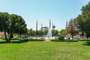 Istanbul: 1, 2 eller 3-dages guidet, skræddersyet privattur