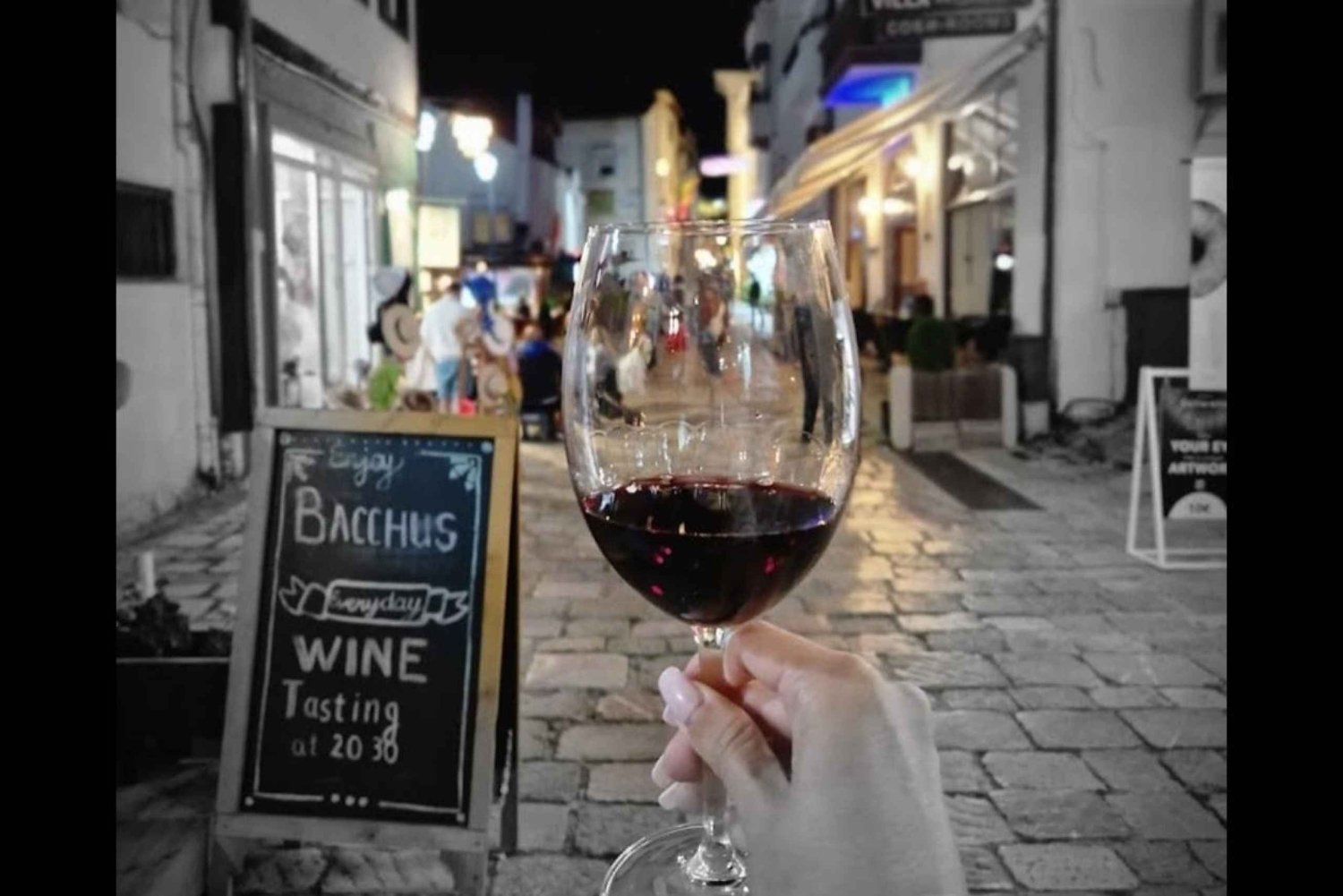 Private Wine Tasting Ohrid