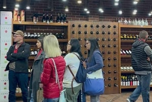 Walking Yerevan City Tour with 3 Brandy, 5 Wine & Gata