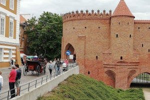 Warsaw: Layover City Tour with Airport Pickup and Drop-Off