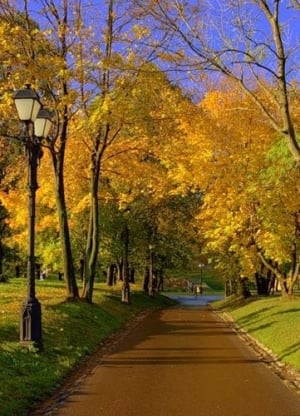 Autumn in Moscow