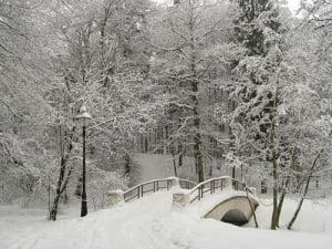 Winter in Moscow Parks