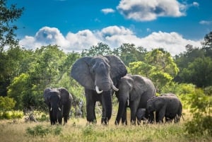 3 days: Safari in Kruger National Park, Mpumalanga, and a city tour in Maputo