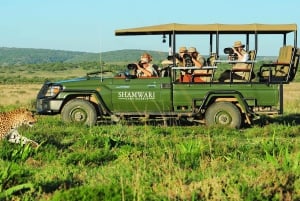 3 days: Safari in Kruger National Park, Mpumalanga, and a city tour in Maputo