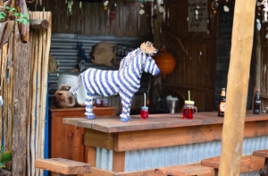 Blue Zebra Bar