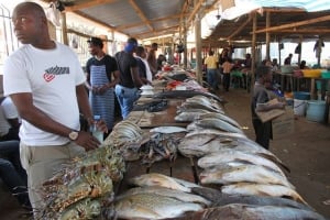 Fish Market - Mercado de Peixe