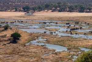 Från Johannesburg: 6-dagars safari till Kruger och Moçambique