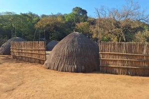 Von Maputo: Ganztägige Hlane Royal Park Safari & Kulturtour