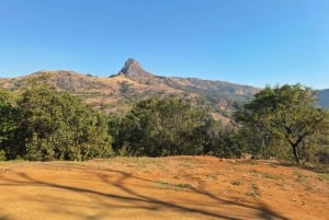 Von Maputo: Ganztägige Hlane Royal Park Safari & Kulturtour