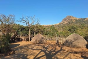 Von Maputo: Ganztägige Hlane Royal Park Safari & Kulturtour