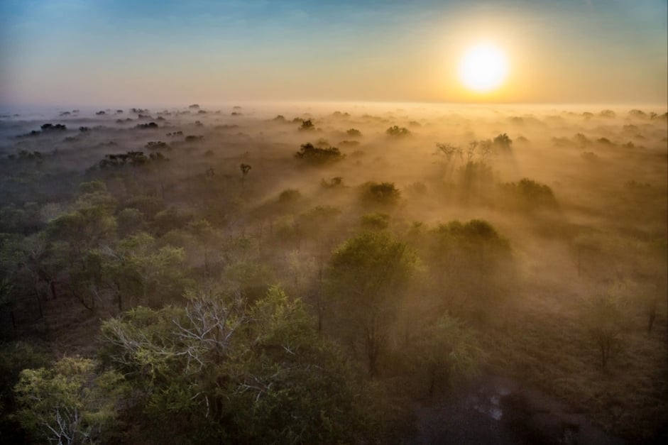 Gorongosa National Park