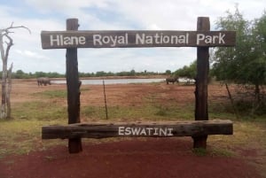 Hlane National Park, Safari Day Tour