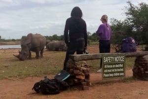 Hlane National Park, Safari Day Tour