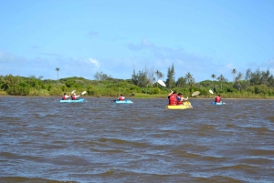 Macaneta Beach: Kayak Tour to the Incomati River Islands