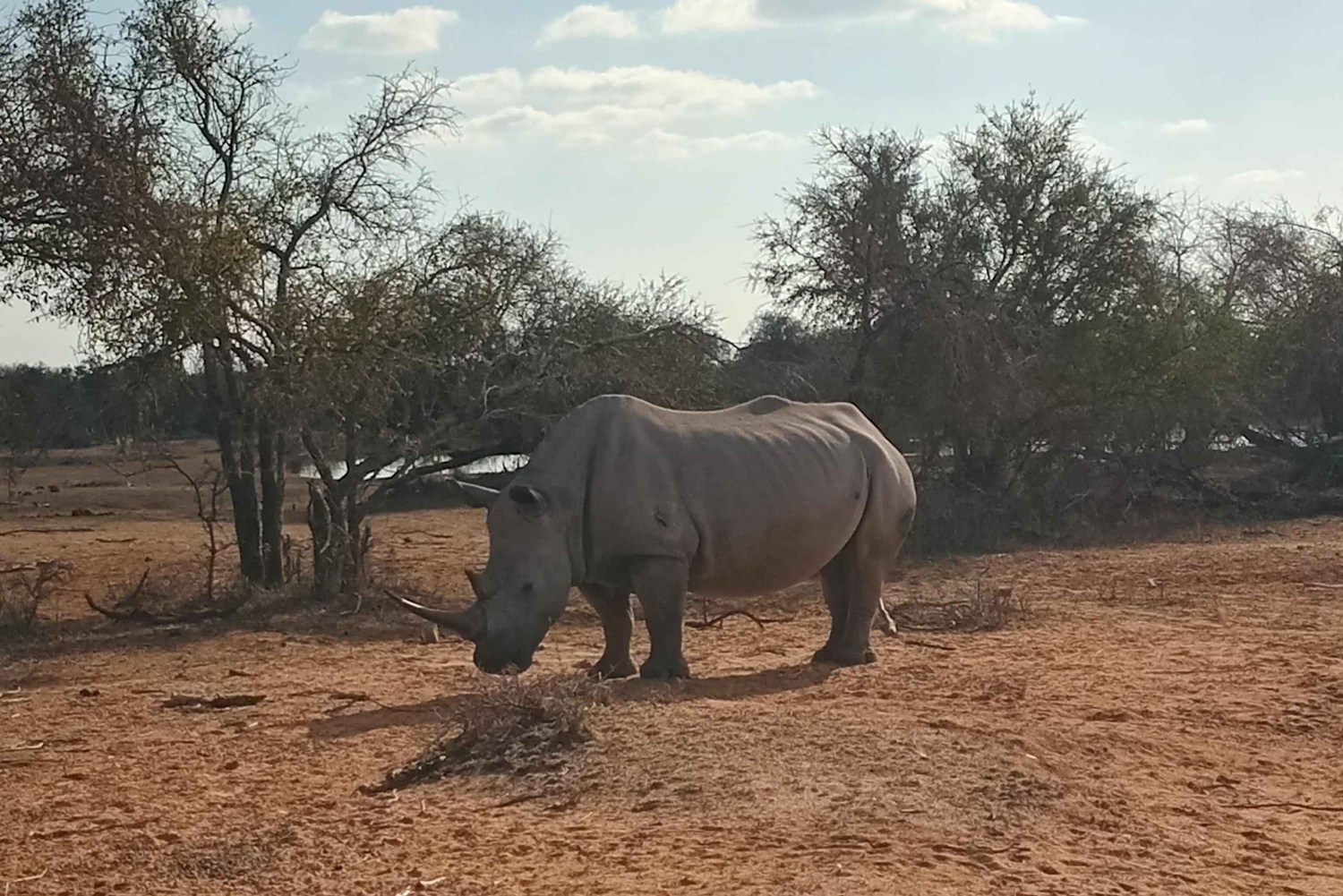 Maputo: 2 dias de safári e visita cultural na Suazilândia