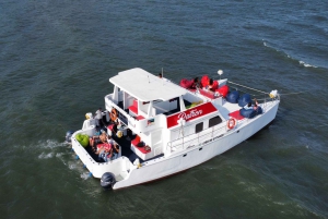 Croisière au coucher du soleil dans la baie de Maputo